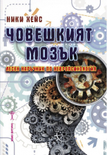 Човешкият мозък: Лесен наръчник по невропсихология