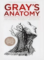 Gray's Anatomy 