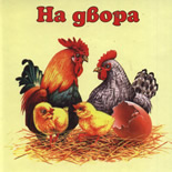 На двора